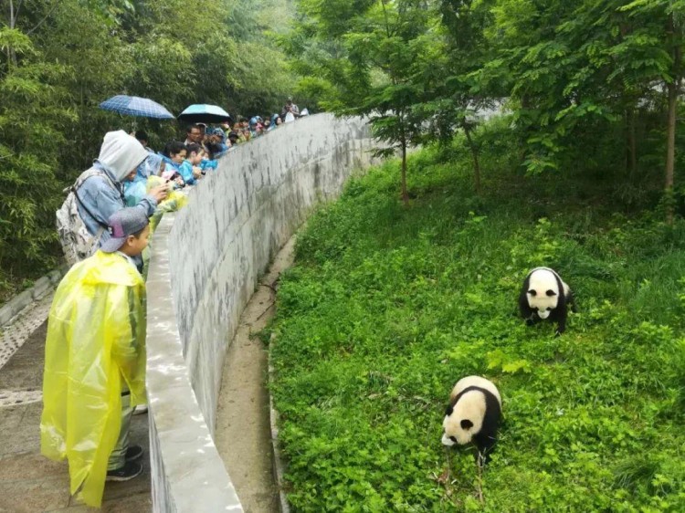 周末轻奢当自然教育遇上温泉SPA